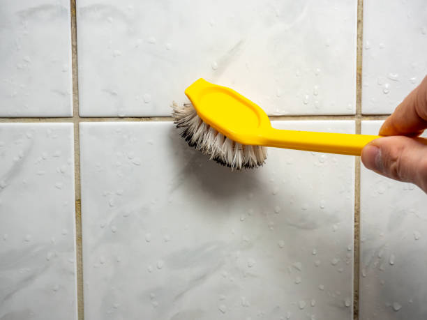 Best Local Mold Removal Service  in Gardendale, TX