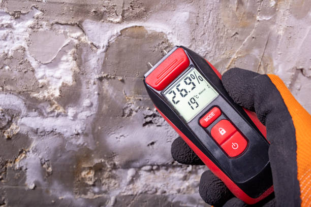 Best Professional Mold Removal  in Gardendale, TX