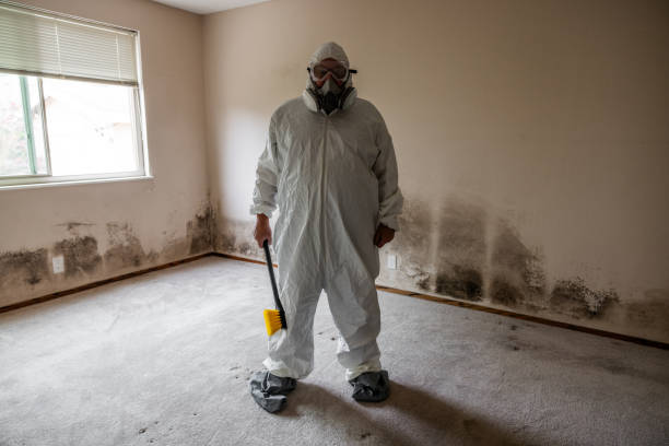 Best Residential Mold Removal  in Gardendale, TX